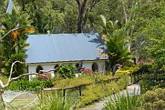 0057 Cairns Tropical Zoo